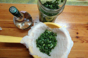 kolanchoe and vodka tincture